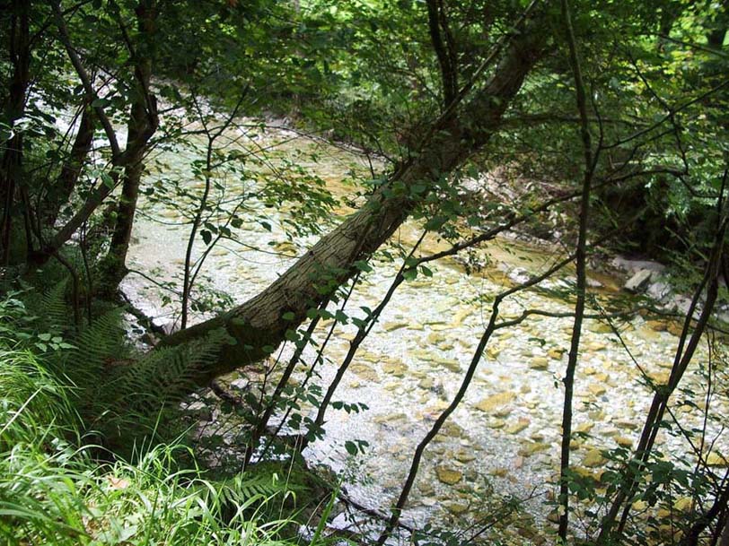 Foto de Tornin - Cangas de Onís (Asturias), España