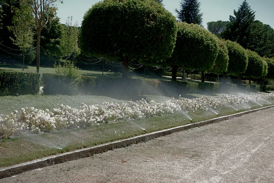 Foto de El Pardo - Madrid (Madrid), España