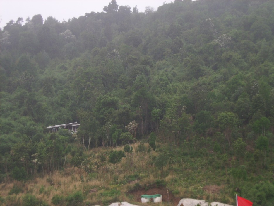 Foto de Valdivia, Chile