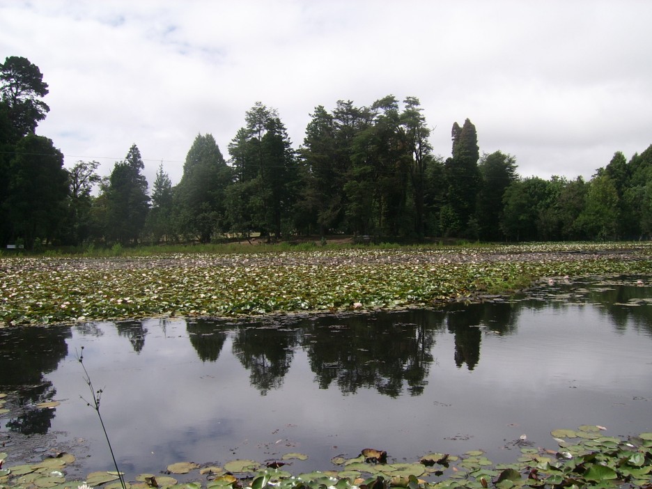 Foto de Valdivia, Chile