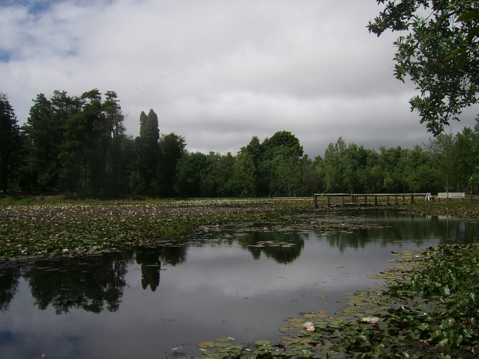 Foto de Valdivia, Chile
