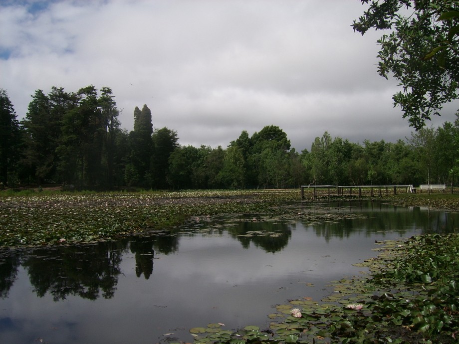 Foto de Valdivia, Chile