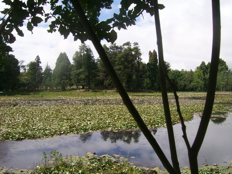 Foto de Valdivia, Chile