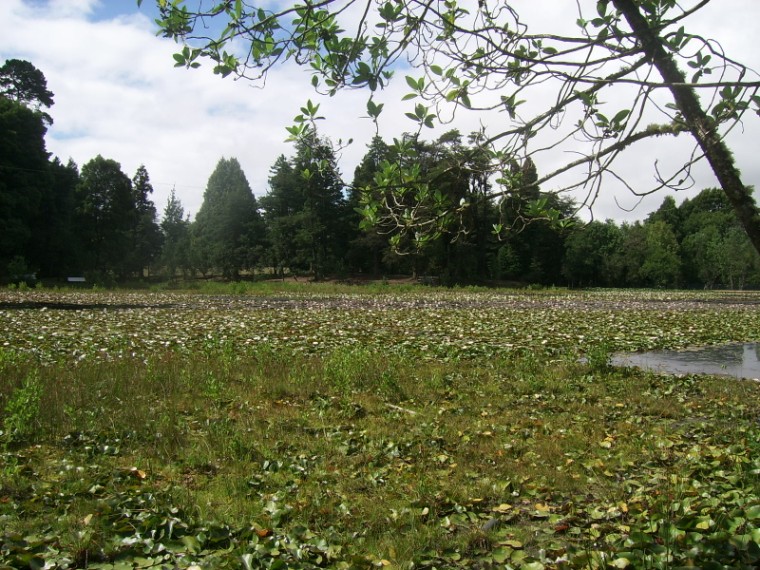 Foto de Valdivia, Chile