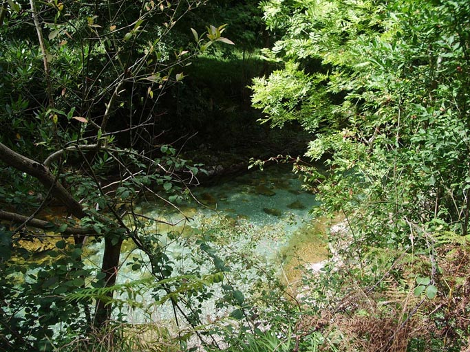 Foto de Tornin - Cangas de Onís (Asturias), España