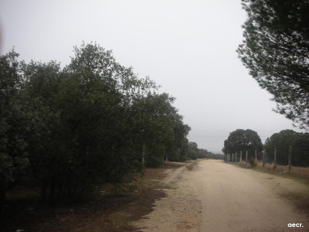 Foto de Sevilla la Nueva (Madrid), España