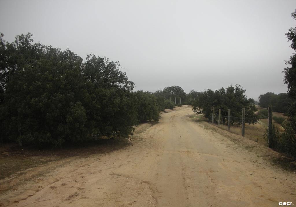 Foto de Sevilla la Nueva (Madrid), España