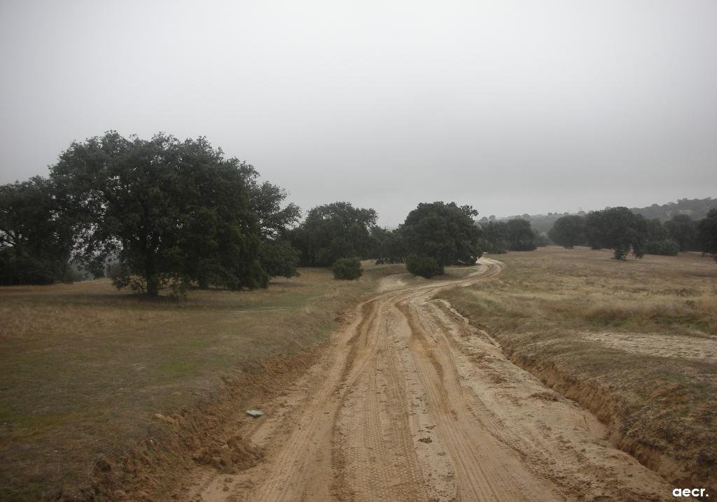 Foto de Sevilla la Nueva (Madrid), España