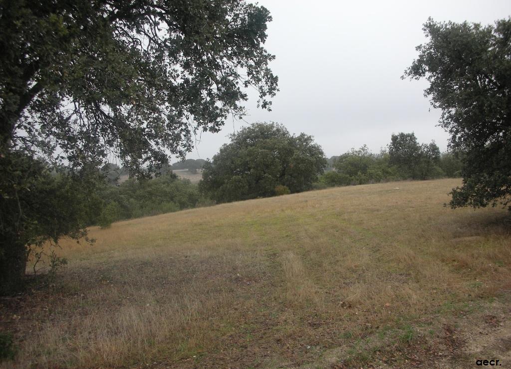 Foto de Sevilla la Nueva (Madrid), España