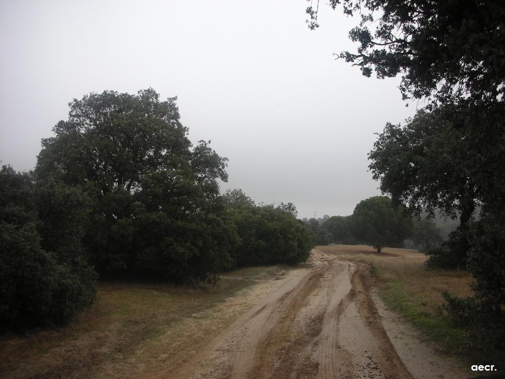 Foto de Sevilla la Nueva (Madrid), España