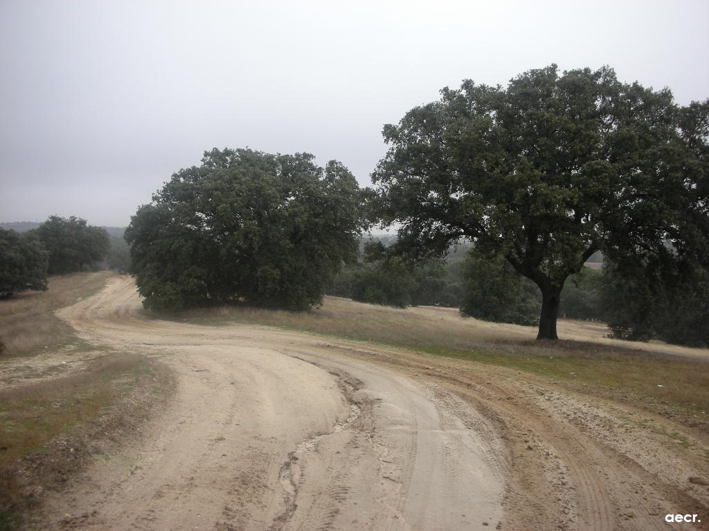 Foto de Sevilla la Nueva (Madrid), España
