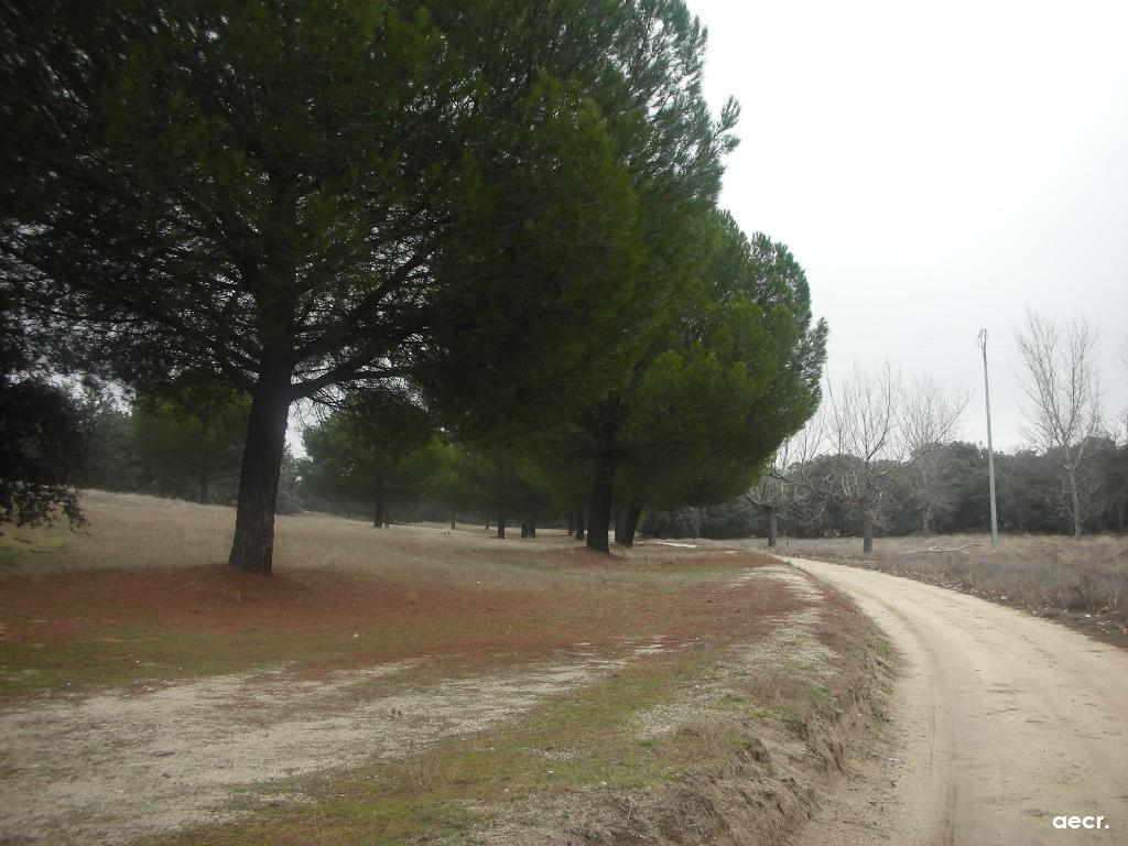 Foto de Sevilla la Nueva (Madrid), España