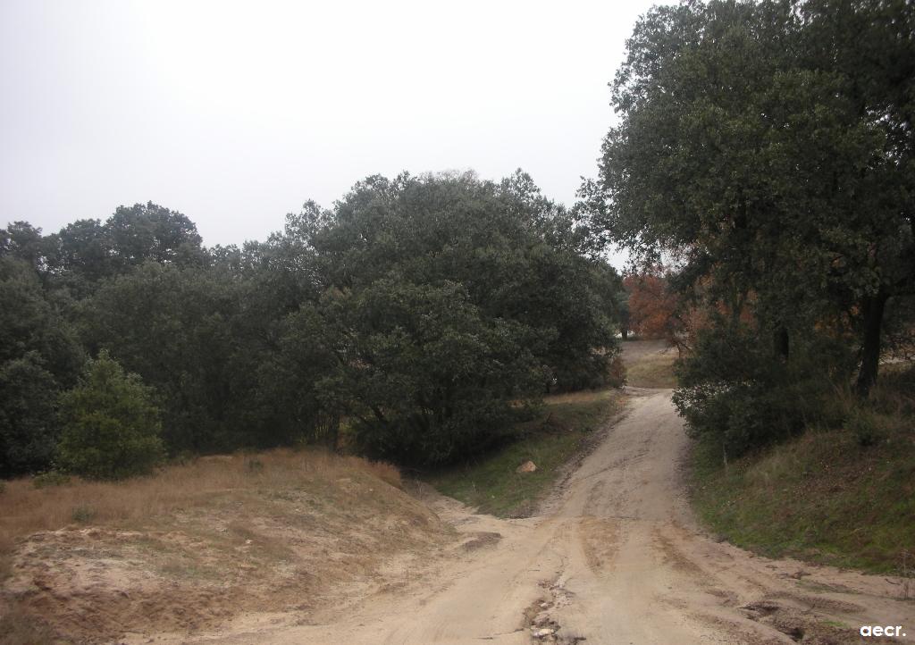 Foto de Sevilla la Nueva (Madrid), España