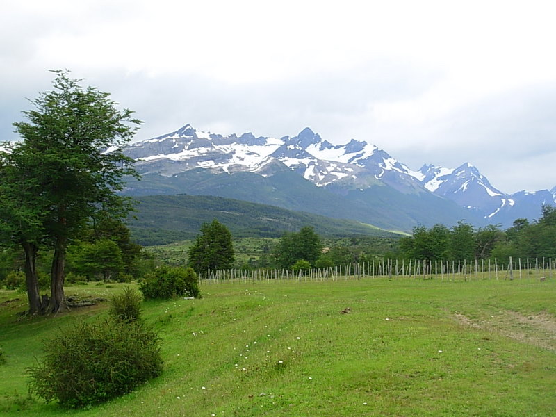 Foto de Puerto Natales, Chile
