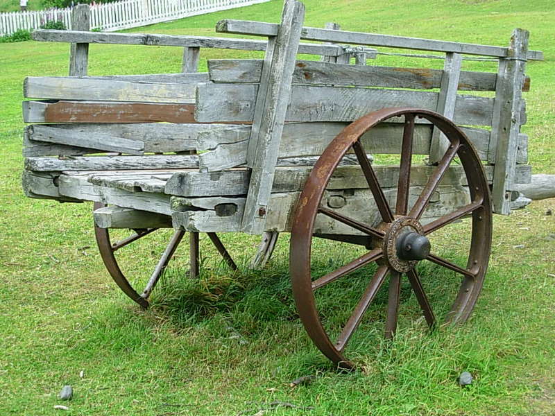 Foto de Puerto Natales, Chile