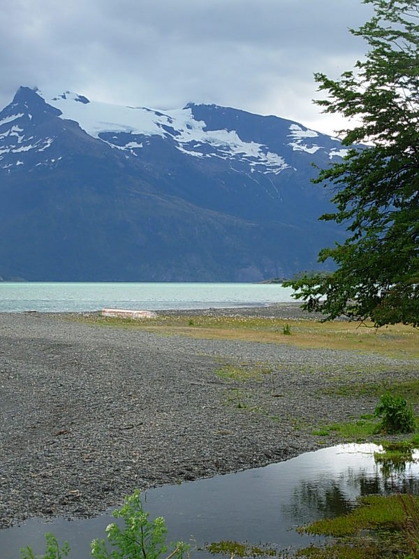Foto de Puerto Natales, Chile