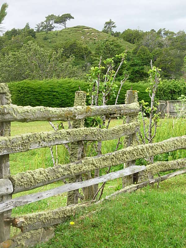 Foto de Puerto Natales, Chile