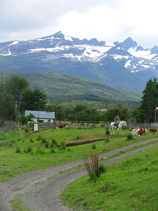 Foto de Puerto Natales, Chile