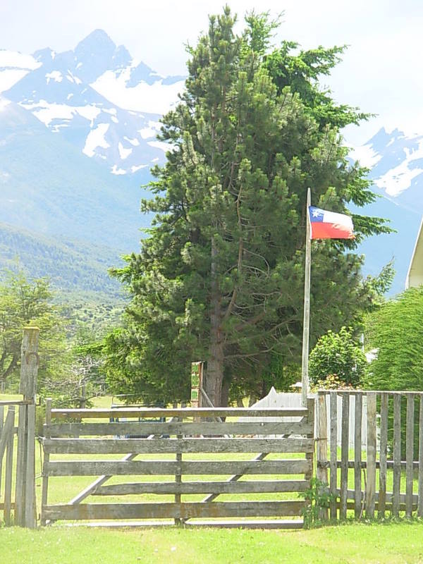 Foto de Puerto Natales, Chile