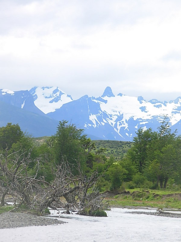 Foto de Puerto Natales, Chile