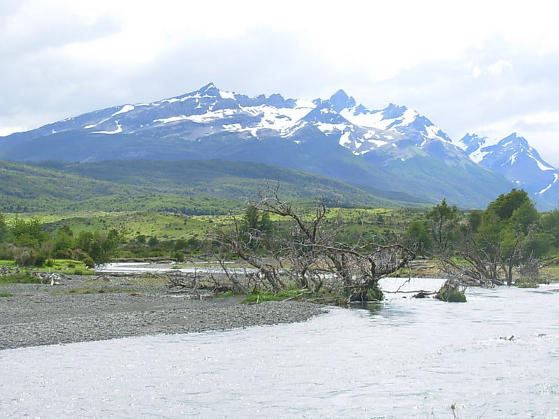 Foto de Puerto Natales, Chile