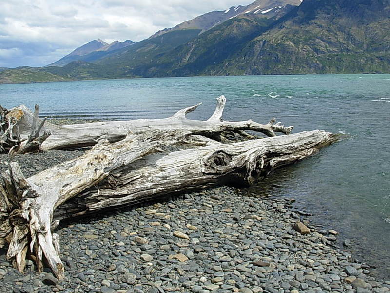 Foto de Puerto Natales, Chile
