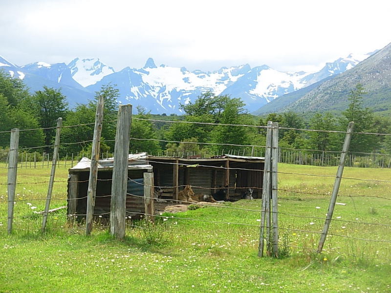 Foto de Puerto Natales, Chile