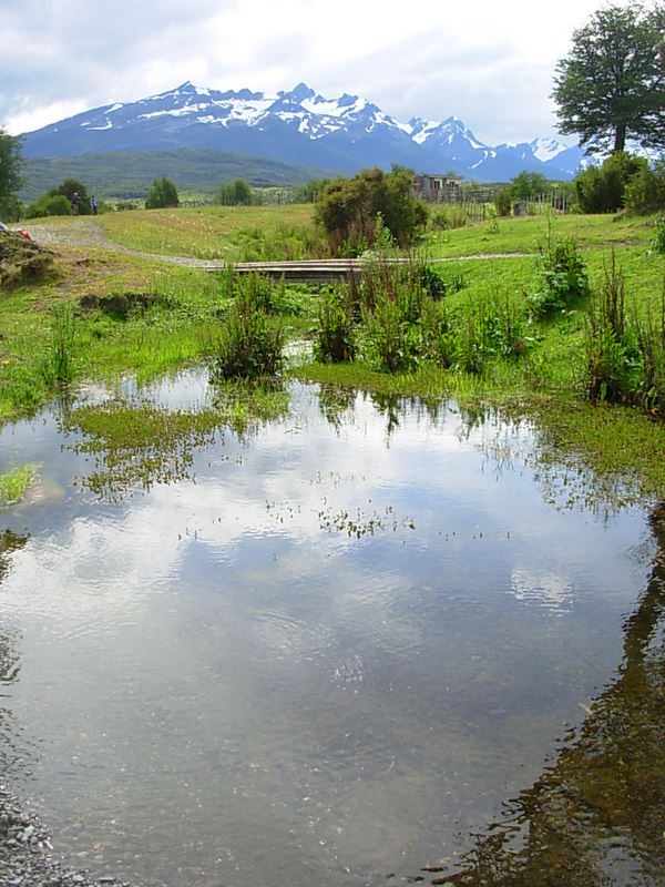 Foto de Puerto Natales, Chile