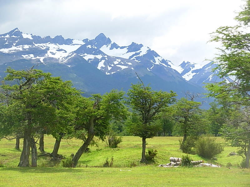 Foto de Puerto Natales, Chile