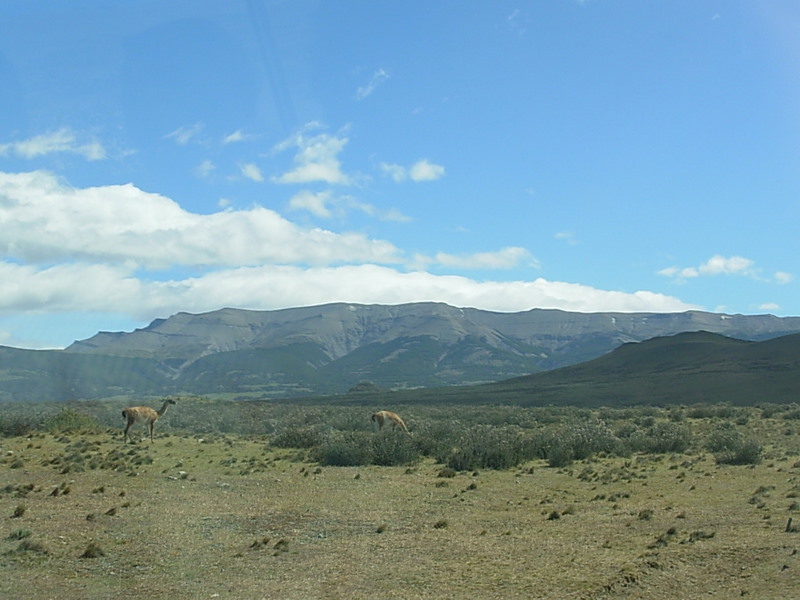 Foto de Parque Nacional Torres del Paine, Chile