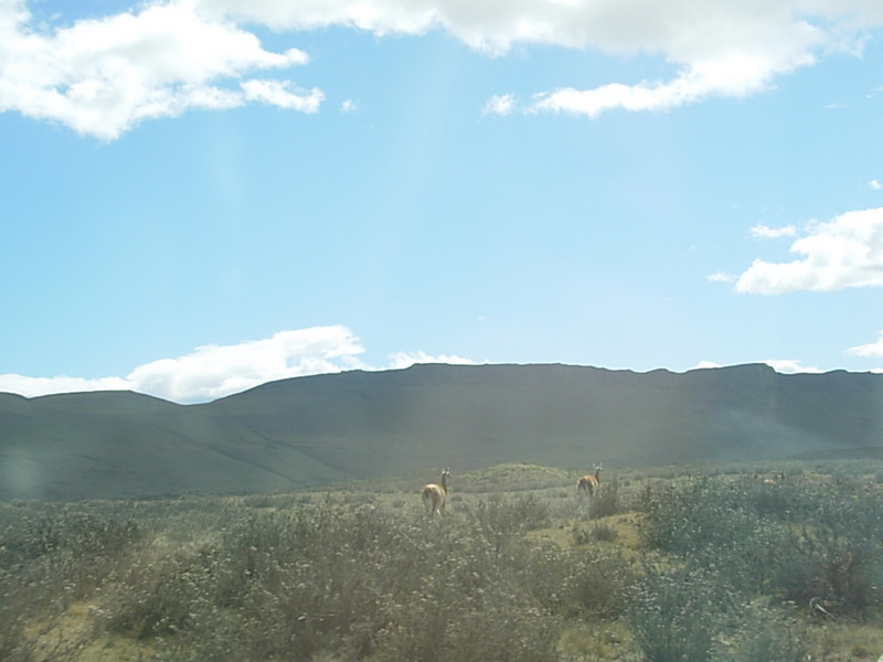 Foto de Parque Nacional Torres del Paine, Chile