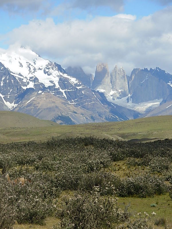 Foto de Parque Nacional Torres del Paine, Chile