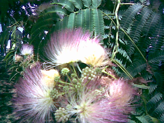 Foto de Buenos Aires, Argentina