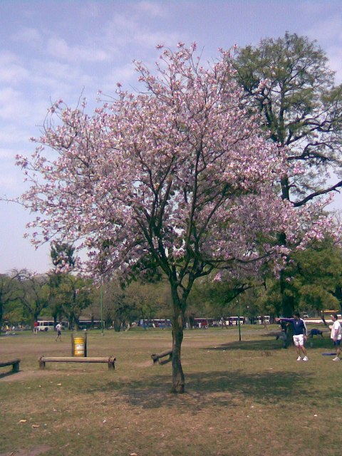 Foto de San Miguel de Tucumán, Tucumán, Argentina