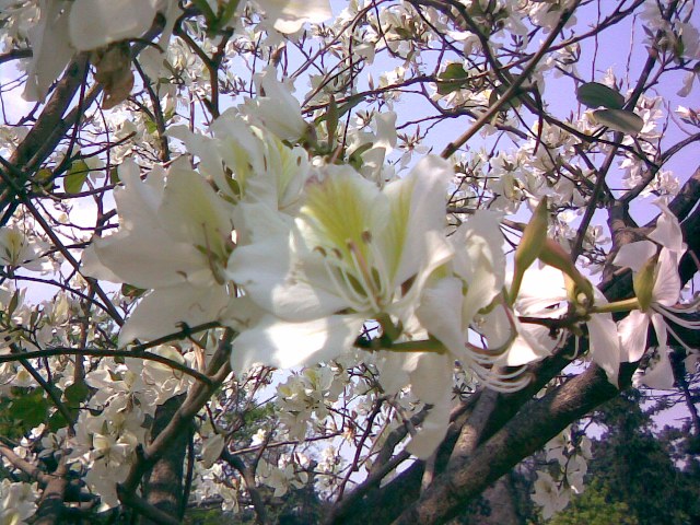 Foto de San Miguel de Tucumán, Tucumán, Argentina