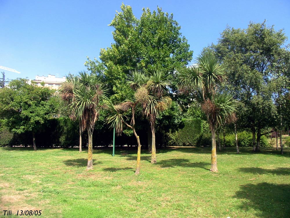 Foto de Avilés (Asturias), España