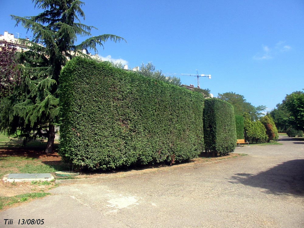 Foto de Avilés (Asturias), España