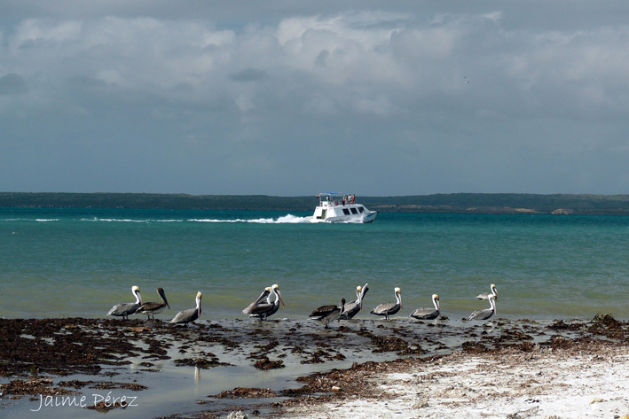 Foto de Isla de Coche. Nueva Esparta, Venezuela