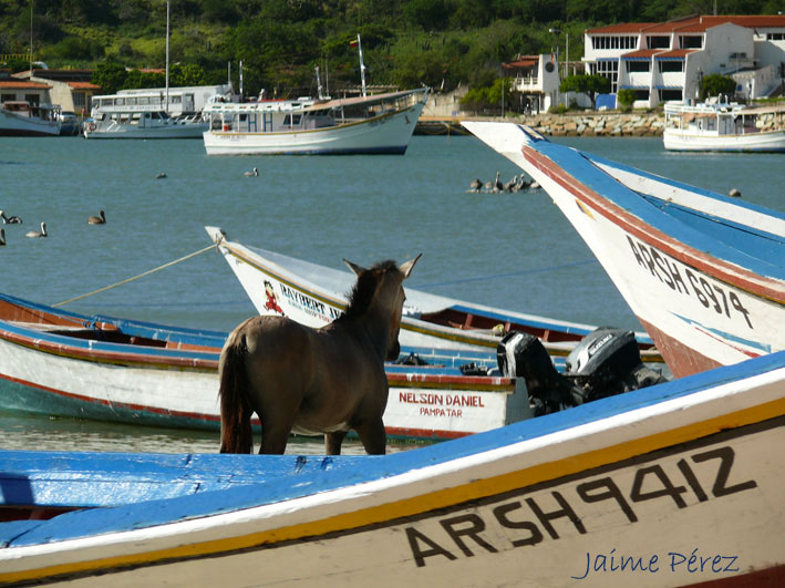 Foto de Juan Griego. Margarita, Venezuela