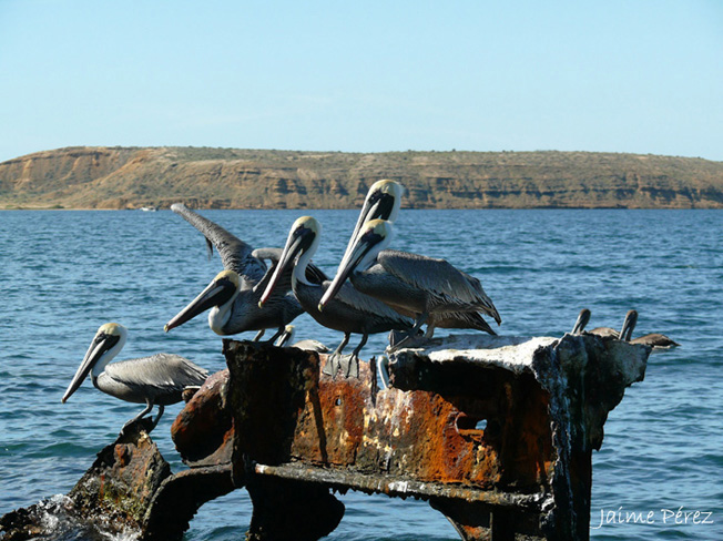 Foto de Isla de Cubagua. Nueva Esparta., Venezuela