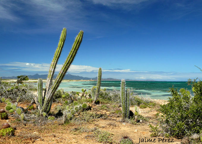 Foto de Isla de Cubagua. Nueva Esparta., Venezuela