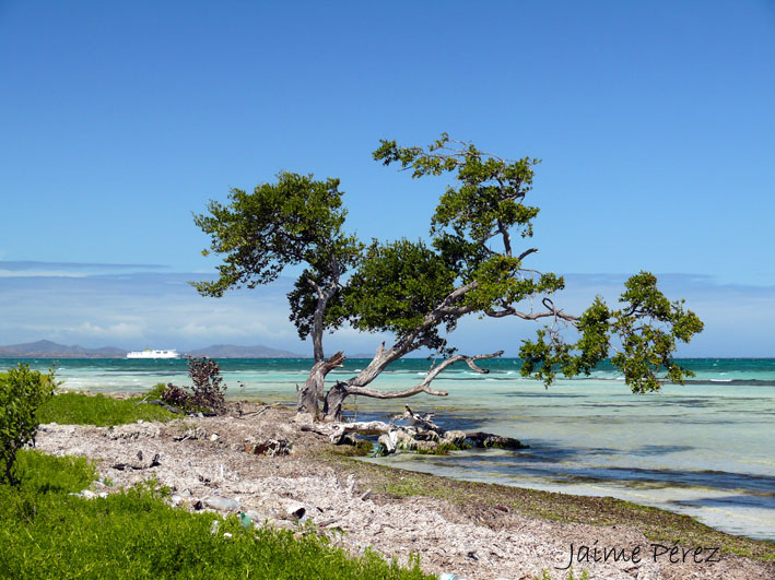 Foto de Isla de Cubagua. Nueva Esparta., Venezuela