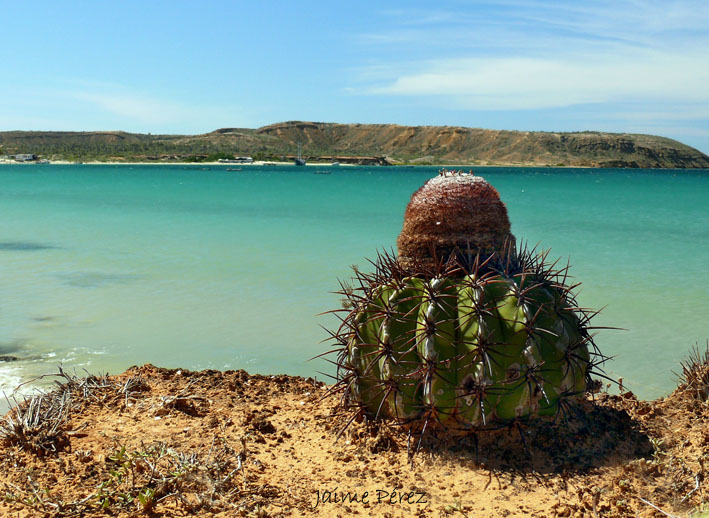 Foto de Isla de Cubagua. Nueva Esparta., Venezuela