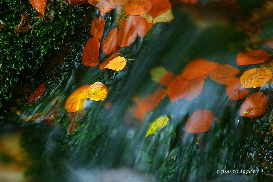 Foto de Caravia - Colunga (Asturias), España
