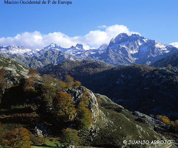 Foto de Cangas de Onís (Asturias), España