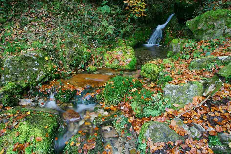 Foto de Caravia (Asturias), España