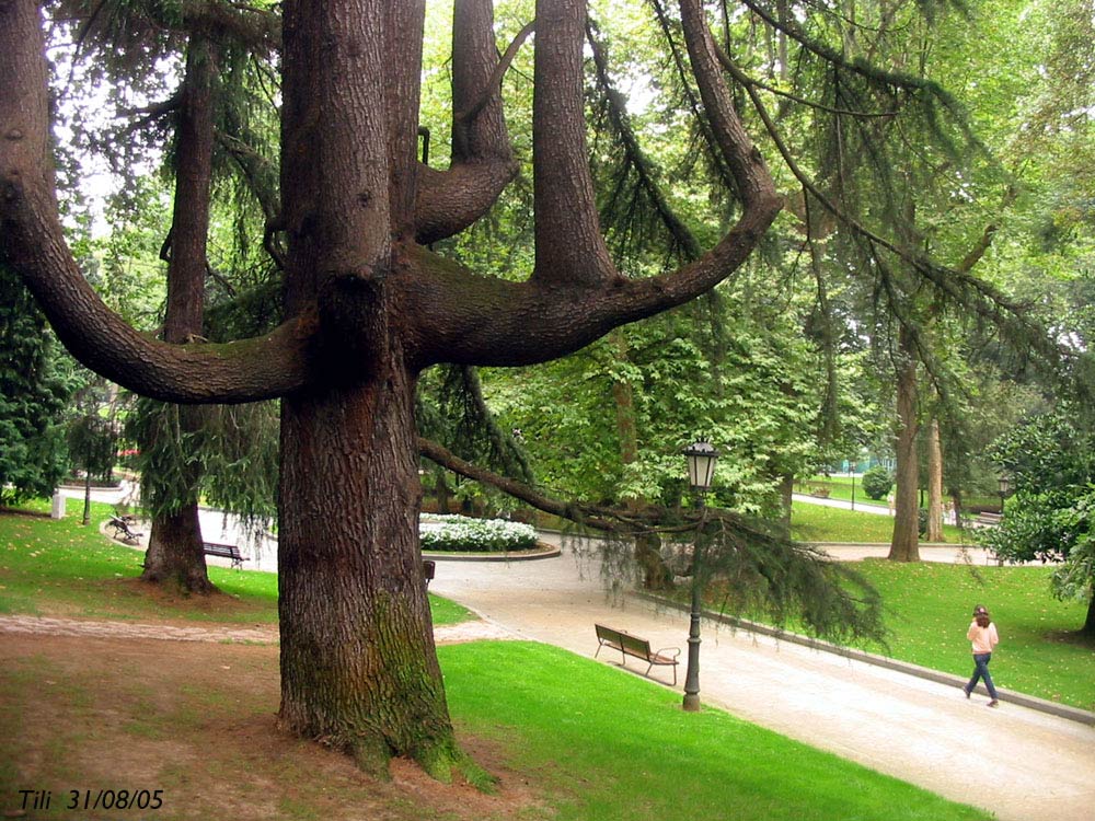 Foto de Oviedo (Asturias), España