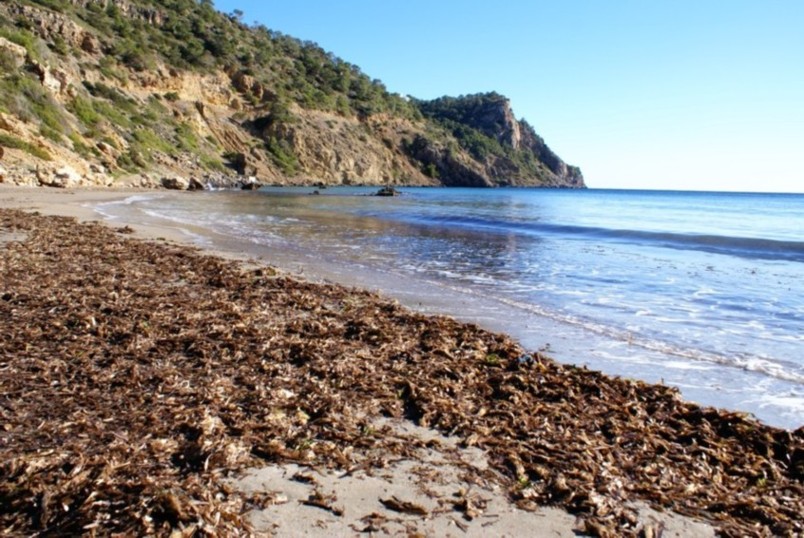 Foto de Ibiza (Illes Balears), España
