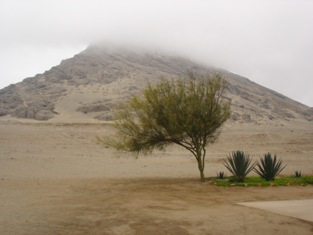 Foto de Trujillo, Perú