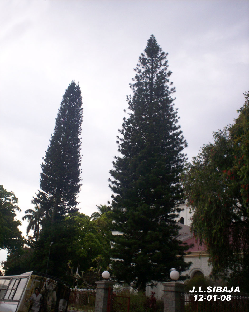 Foto de Alajuela, Costa Rica